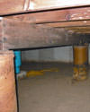 Mold and rot thriving in a dirt floor crawl space in Cincinnati