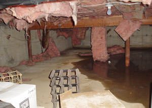 fiberglass insulation dripping off the ceiling of a crawl space in Florence, KY.
