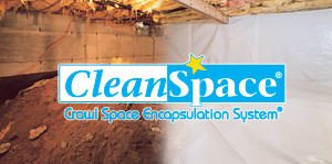 Cleanspace Logo