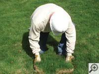Restoring the landscaping by replacing removed sod on the ground for a West Chester home.