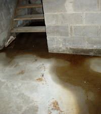 Flooding floor cracks by a hatchway door in Fort Thomas