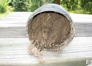 clogged french drain found in Fort Thomas, Ohio and Indiana