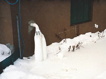 IceGuard® Installed Middletown